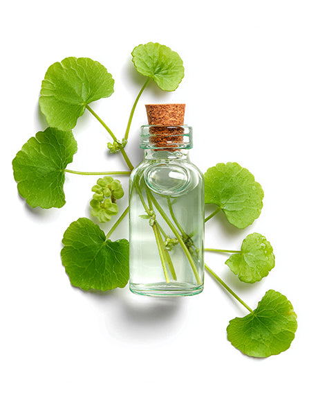 Cica Extract