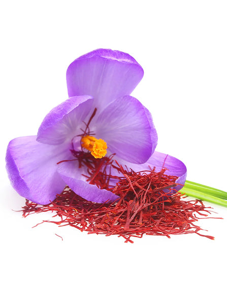 Saffron Extract