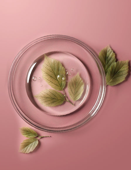 Witch Hazel Extract